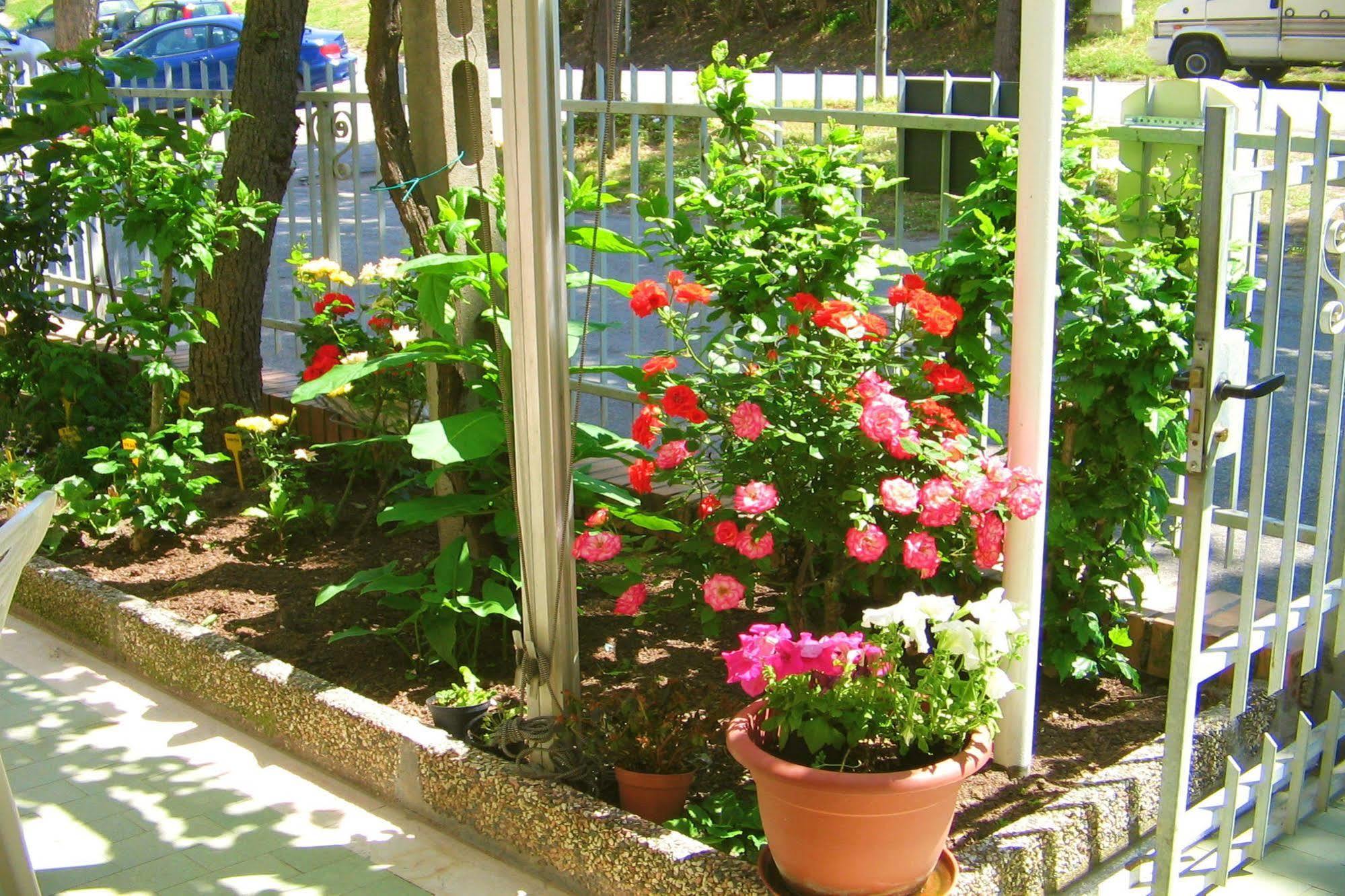 Villa Lauda B&B Rimini Exterior foto